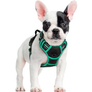 rabbitgoo Dog Harness No Pull with 2 Leash Clips, Adjustable Soft Padded, Reflective Oxford No Choke Pet Vest with Easy Control Handle for Small Dogs, Black & Turquoise, S