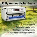 Eggs Incubator 68 Eggs Automatic Incubator for Hatching Eggs, with Automatic Egg Turning and Temperature Humidity Control, Poultry Hatching Incubator for Chicken Quail Bird Duck Goose