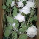 Hananona Artificial Roses in Bulk, Fake Velvet Silk Roses Realistic Rose for Wedding Centerpieces Flower Arrangement Home Decor (50, White)
