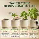 HOME GROWN Indoor Organic Herb Garden Kit, Unique Valentines Day Gift for Adults, Men, & Women,Grow 4 Herb Seeds for Kitchen Window Garden,Beginner DIY Hobby Gardening Gift for Plant Lovers, Mom & Dad