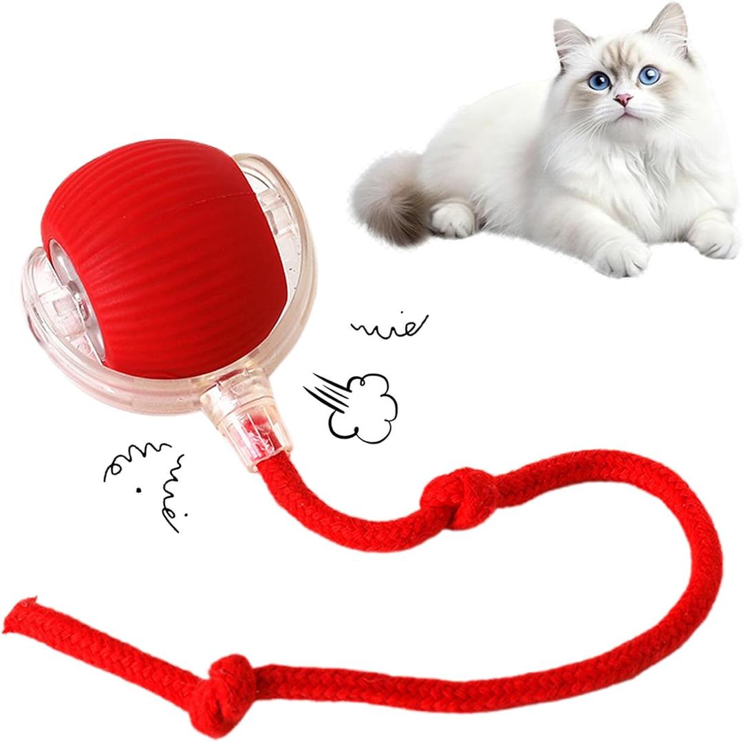 Cat Toy, 360 Automatic Rolling Smart Pet Ball Toys, Motion-Activated, Rechargeable, Four Modes, Three Speed Adjustment, Solve Your Cat's Boredom in Seconds (Red)