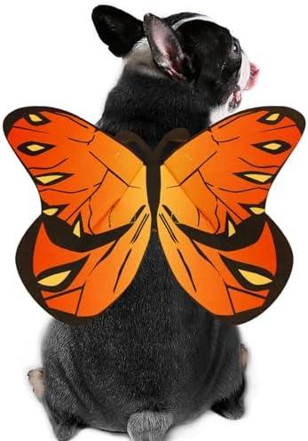 Butterfly Wings Costume for Small to Large Dogs & Cats - Halloween