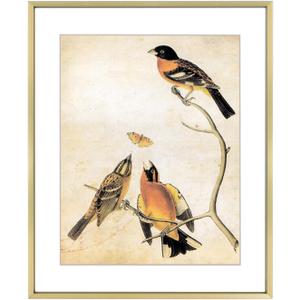 10x12 Picture Frame, Brass Aluminum Metal Photo Frames with HD Glass, Fits 8x10 with Mat or 10 x 12 without Mat, Display for Wall, 1 Pack