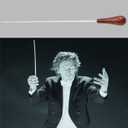 Music Baton Conducting Baton Orchestra Baton wood Handle (Rosewood Handle)