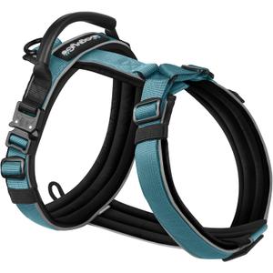 Premium Y-Shaped Dog Harness for Training & Daily Walk,No-Pull Adventure Harness with Handle & 3 Leash Hook Points,Durable Nylon (SteelBlue)