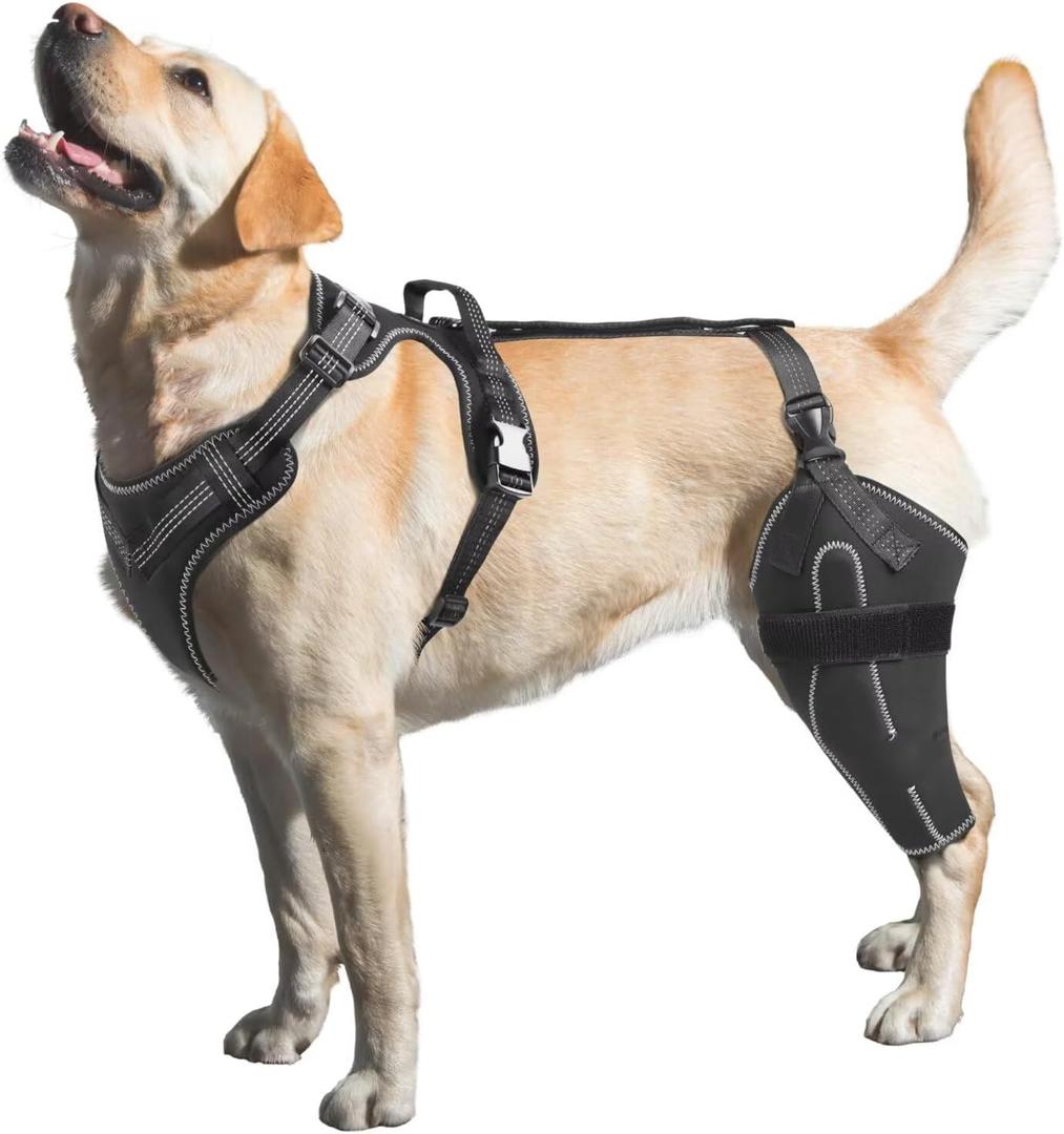 Dog Knee Brace for Torn ACL/CCL Hind Leg,Adjustable Support with Sufficient Wrapping and Support & Luxating Patella,Non-Slip Joint Brace,Pain Relief & Better Recovery-Left Leg/M