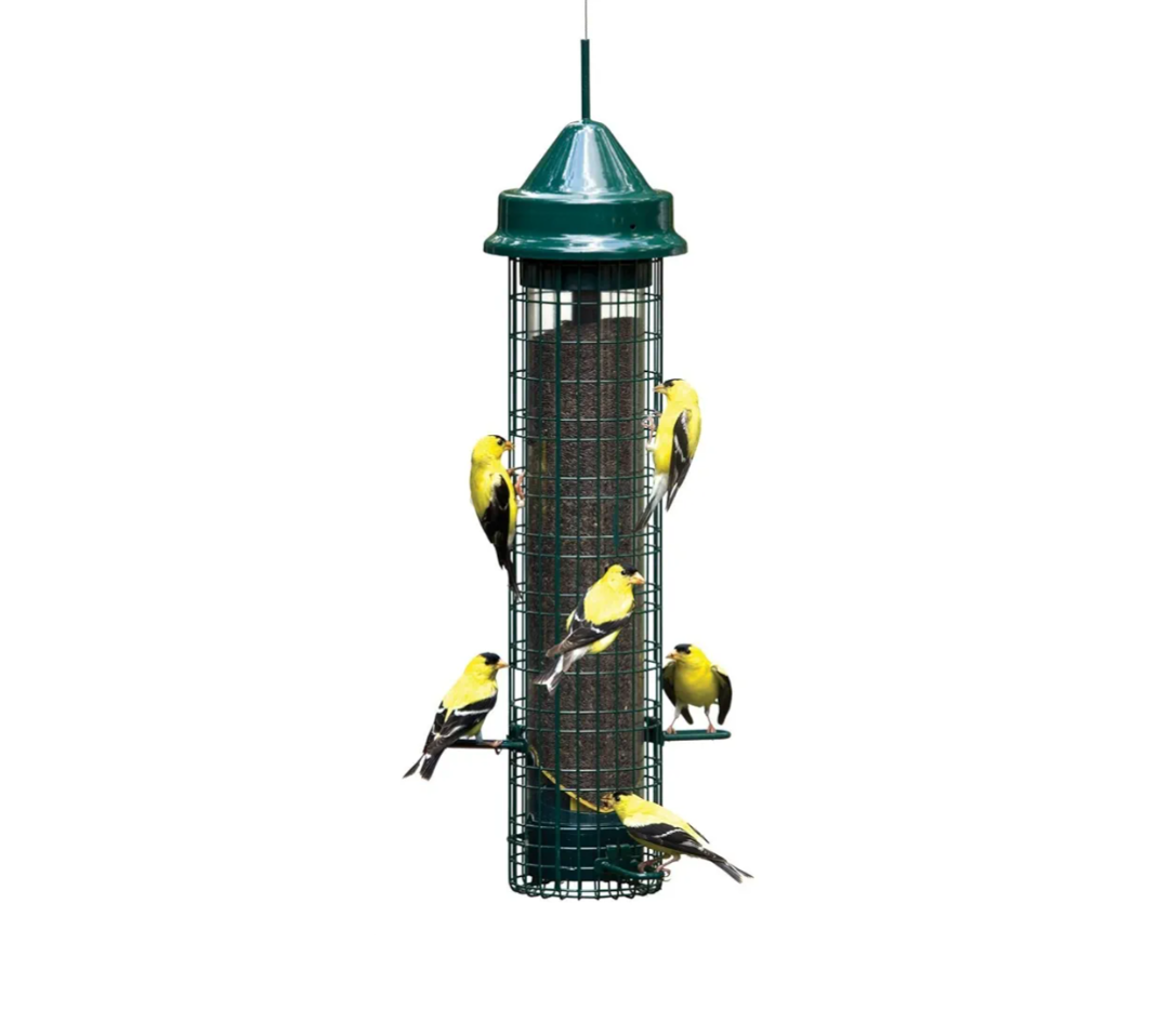 Squirrel Buster Finch Squirrel-proof Bird Feeder w/4 Metal Perches & 8 Feeding Ports, 2.4-pound Thistle/Nyjer Seed Capacity