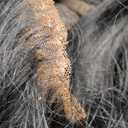 Half Wig Body Wave Human Hair 3 in 1 Glueless Wear 200% Density For Women Seamless Flip Over Drawstring Headband Wig Beginner Friendly 20inch