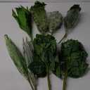 8 Kinds Artificial Tropical Palm Leaves Tropical Leaves Monstera Leaves Safari Jungle Leaf with Stems for Hawaiian Luau Party Beach Table Wedding Shower Birthday Theme Decorations