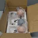 The Lakeside Collection 6-Pc. Thanks Pumpkin Set