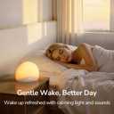 HOUSBAY Sunrise Alarm Clock Radio for Bedroom Wake Up Naturally with Gentle Light & Nature Sounds, Relax with Bluetooth Speaker & Night Light