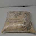 Pillow Shell 100% Polyester 19x19in