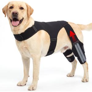 Dog Knee Brace for Back Leg Hind Leg ACL Dog Brace Support Adjustable Double Dog Leg Brace with Stabilizers, Helps with Torn CCL, Luxating Patella, Ligament Injuries,L