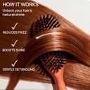 100% Pure Calcutta Boar Bristle Hairbrush for Natural Healthy Hair, Stiff Bristle, Made in Germany's Black Forest