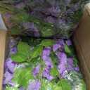 Lvydec Wisteria Artificial Flowers Garland, 4 Pcs Total 28.8ft Artificial Wisteria Vine Silk Hanging Flower for Home Garden Outdoor Ceremony Wedding Arch Floral Decor (Light Purple)