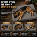 The Dog’s Bed Orthopedic Memory Foam Dog Bed, Waterproof XL 6 Inch Thick