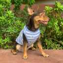 YQYS Dog Shirts Multi-Color Striped Cotton Vest for Small Dogs and Cats Puppy Clothes Teacup Dog Clothing Tank Top for Chihuahua Miniature Pinscher Blue XSmall