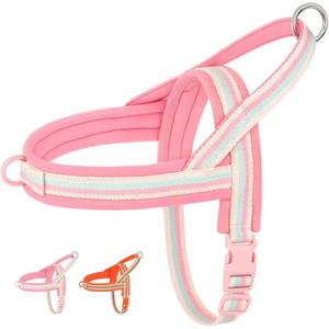 Beirui No Pull Dog Harness for Small Medium Dogs Puppies, Soft Neoprene Quick Fit Harness with Durable Front Clip & Back Clip, Lightweight Easy for Daily Walking (Striped Pink,XS)