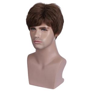 BERON Men's Brown Wig Short Straight Male Heat Resistant Daily Wear Costume Synthetic Wigs Come with Wig Cap