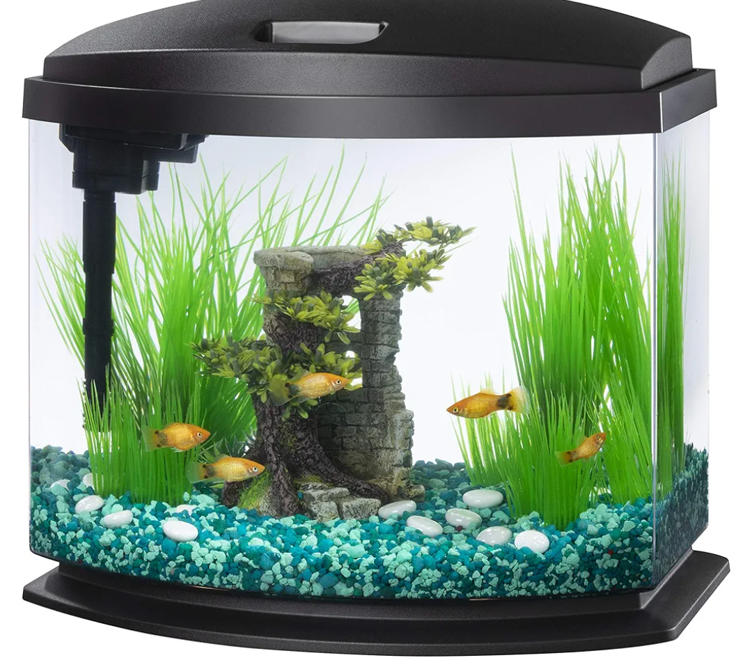 Aqueon LED MiniBow Small Aquarium Fish Tank Kit with SmartClean Technology, Black, 5 Gallon