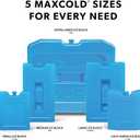 Igloo Maxcold Ice Block (2PK Large)