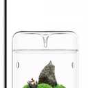 Glass Plant Terrarium 4.7"X7" Inches Succulent Air Planter Fern Moss Micro-Landscape Vase for Home Office Tabletop Decoration Container with Lid Indoor Wardian Copyright Patentwith Light