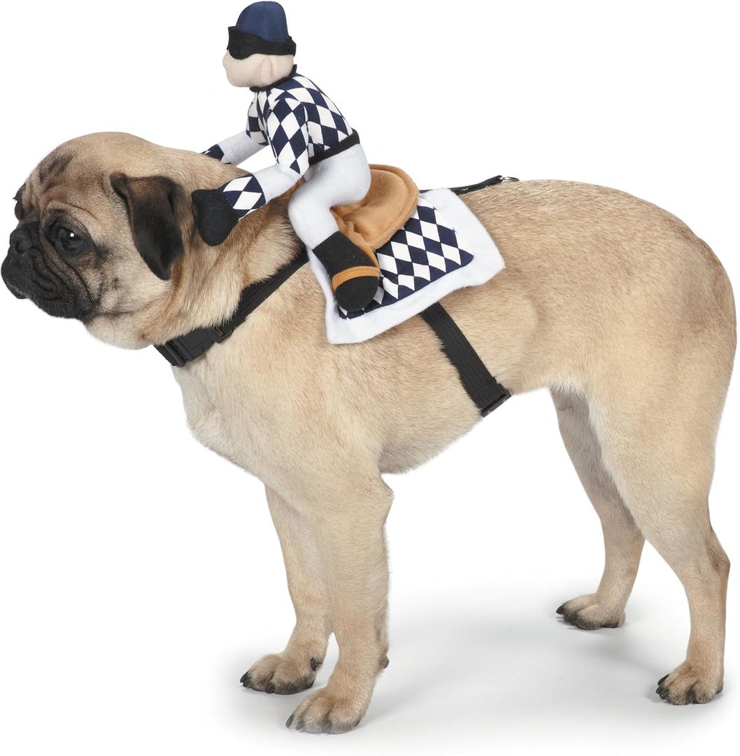 Zack & Zoey Show Jockey Saddle Dog Costume, Small (S (Neck: 10", Girth: 16"), Back:12"))