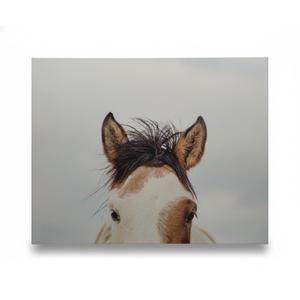 JLA ITS IN THE EYES CANVAS ART 20X22