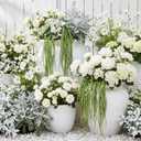 Suncalla 4 Pcs Green 35 Inch Amaranthus Artificial Flower Hanging Plants Fake Amaranthus Flower Dried Preserved Bleached Wisteria for Wedding Christmas DIY Bouquet Garlands Home Wall Decor