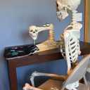 Crazy Bonez Skeleton Sewing Machine Halloween Decoration with Animated Skull, Light Up Eyes, and Sound Effects