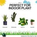 WhaleLife Small Indoor Watering Can for House Plants - Stylish Green Plastic Watering Pitcher with Long Spout for Potted Plants, Succulents, and Desk Gardens 1.4L