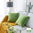 Stellhome Pack of 2 Velvet Pillow Covers Square Decorative Cushion Covers for Bed Couch Sofa Bench, 22 x 22 inch (55 x 55 cm), Apple Green