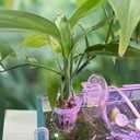 2 x DONGKER Aquarium Plant Holder,2 PCS Hanging Fish Tank Plant Pot with Hole for Fish Tank Wall Thickness up to 1.2cm/0.5" (Hexagon Opening)