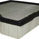 ACDelco GM Original Equipment A3137C (92196275) Air Filter