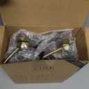 Vine Creations Black Glass Soap Dispenser, 2 Pack Kitchen Soap Dispenser Set with Stainless Steel Pump, 16 oz Dish Soap and Hand Soap Dispensers for Bathroom with Waterproof Labels (Matte Black Bottle / Brushed Gold Pump)