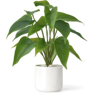 Mkono Fake Plants in Ceramic Pot, 11" Potted Artificial Plants for Home Decor Indoor Faux Green Leaf Plant with Modern White Planter for Desk Shelf Office Room Decoration (Pothos)