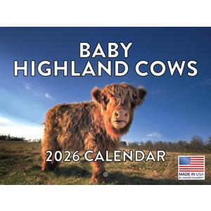 Baby Highland Cow Calendar 2026 Wall Cows Gifts For Cow Lovers Monthly Calender 12 Month | American Made In The USA