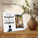 Cat Memorial Wooden Picture Frame Gifts for Loss of Cat, Angels Have Wings And Whiskers, Pet MemorialSympathy Gifts, Fits 4x6 Photo Frame (White)