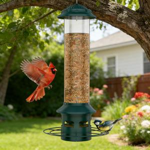 Metal Squirrel Proof Bird Feeders for Outdoors Hanging 4.0 LB Large Capacity,Easily Beat Squirrels,Easy to Clean and Fill,Waterproof,Attracting Finch,Cardinal,Chickadee and More