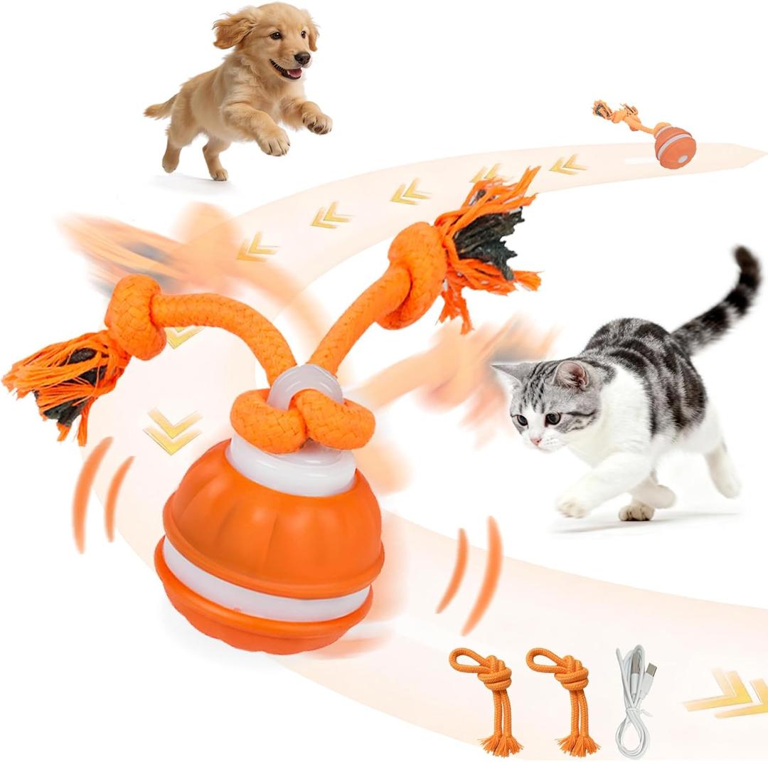 Interactive Dog & Cat Toys for Small Dogs and Indoor Cats - Automatic Moving Ball with Chirping Sound, Motion Activated Self Play Toy to Entertain Bored Pets, Easter Basket Essentials (1 Orange)