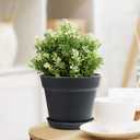 homenote Pots for Plants, 8 Pcs 7.5 Inch Plastic Planters with Multiple Drainage Holes and Tray - Plant Pots for All Home Garden Flowers Succulents, Matte Black