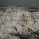 RELEANY Washable Area Rugs 4'x6' Non-Slip Modern Abstract Soft for Living Room Entryway Bedroom Nursery, Print Pattern, Neutral Brown Gray - Worn and Torn, See Images