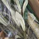 Nafresh Super Full Faux Olive Tree, 6FT Artificial Olive Tree Indoor, Fake Silk Trees with Realistic Leaves and Lifelike Fruits for Indoor Outdoor Living Room Corner Office Bedroom Home Decor