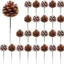 Fovths 24 Pieces Christmas Pine Cones Pick Pinecones Ornament Christmas Tree Decoration 2.4-3.1 Inches Pine Cones for Home Party Christmas Crafts (White, Natural)