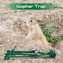 Qualirey 2 Pcs Outdoor Gopher Trap Easy Set Mole Trap Weather Resistant Gopher Killer Vole Killer for Lawn Garden Farm (Green)