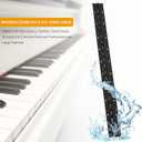 Door Hinges 2 Pcs 20" x 1.8"