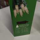 Holiday Home 100 LED Mini Lights - Warm White (Green Wire) Pack of 2