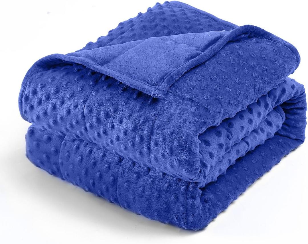 Wemore Minky Dot Weighted Blanket for Adults Queen Size 15 lbs, Soft Cozy Heavy Blanket for Bed and Couch, Breathable Blanket for All-Season with Glass Beads, Blue 60 x 80 inches