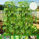 65" Cucumber Trellis for Climbing Plants Outdoor, Metal Garden Trellis for Raised Bed, Plant Support Structures with Netting for Cucumbers Tomatoes Beans Peas (67 * 17 * 65inch(L*W*H), Trellis)