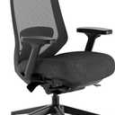 Branch Ergonomic Chair Pro - Mesh Office Chair with 14 Points of Adjustment - Height, Depth & Tilt Adjustable - 5D Armrests - Forward Tilt, Smooth Recline, and Lumbar Support - Black
